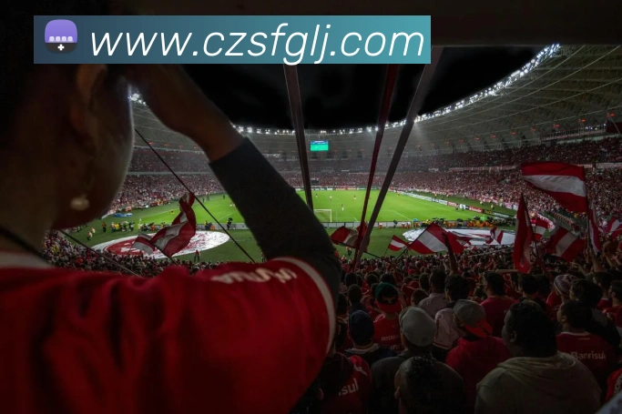 奖项3